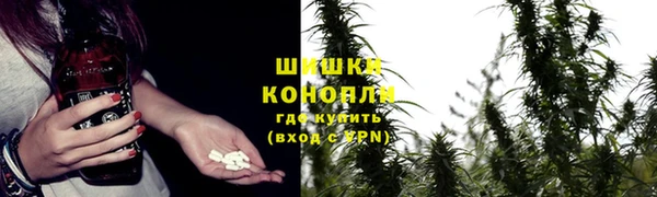 тгк Арсеньев