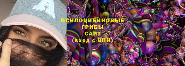 тгк Арсеньев