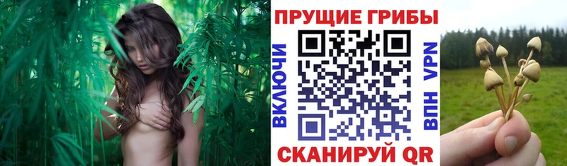 Псилоцибиновые грибы Magic Shrooms  Полысаево 