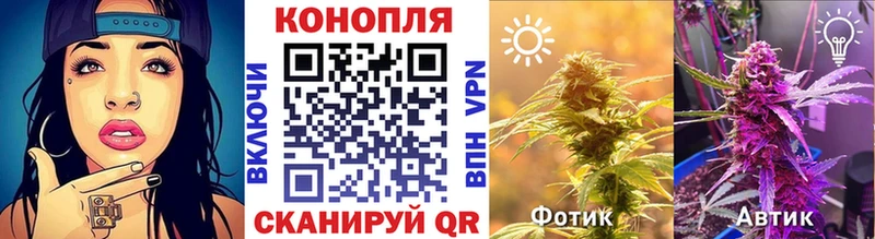 Каннабис Amnesia Полысаево